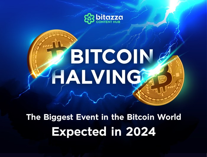 Bitcoin Halving 2025 Calculator