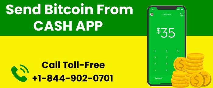 Send Bitcoins From Cash App