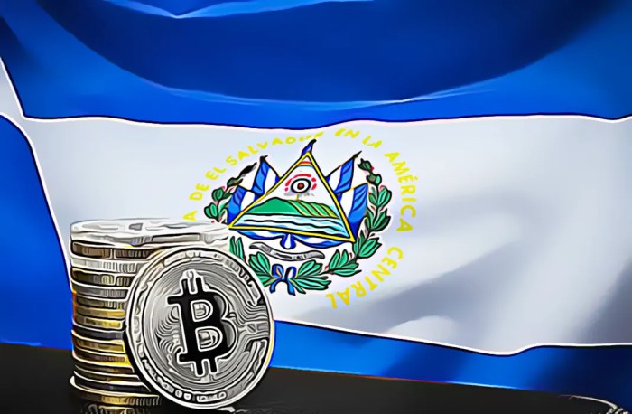 El Salvador Bitcoin Unrealized Profit