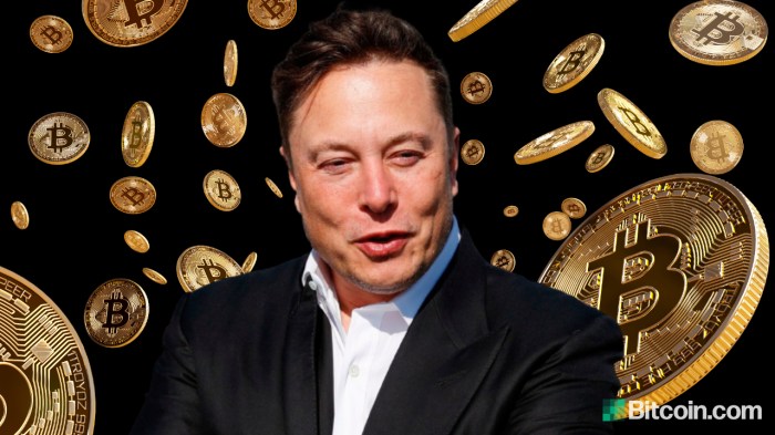 Elon Musk Bitcoin Promo Code