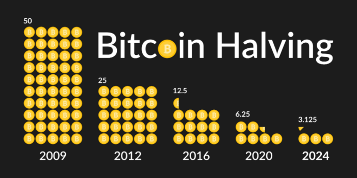 What Is Bitcoins Value