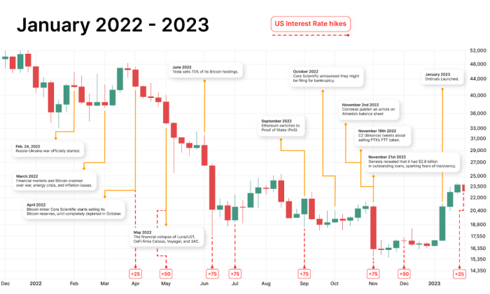 Bitcoin Price In 2013