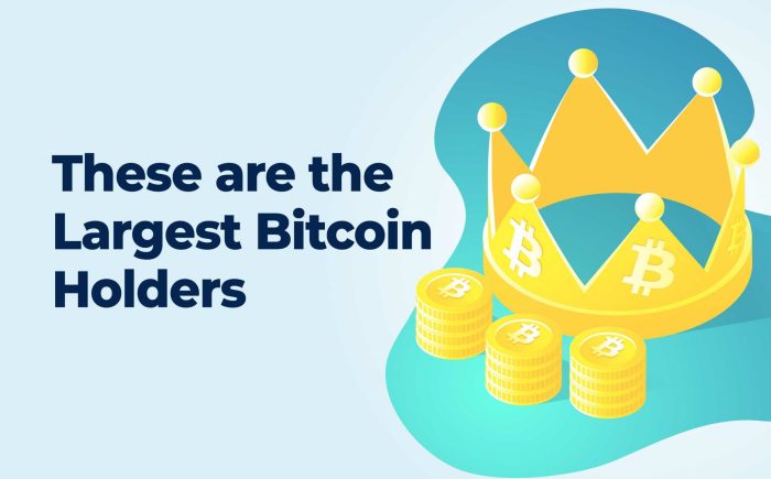 Who Owns Most Bitcoins