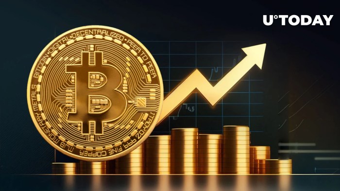 Bitcoin Highest Price Ever