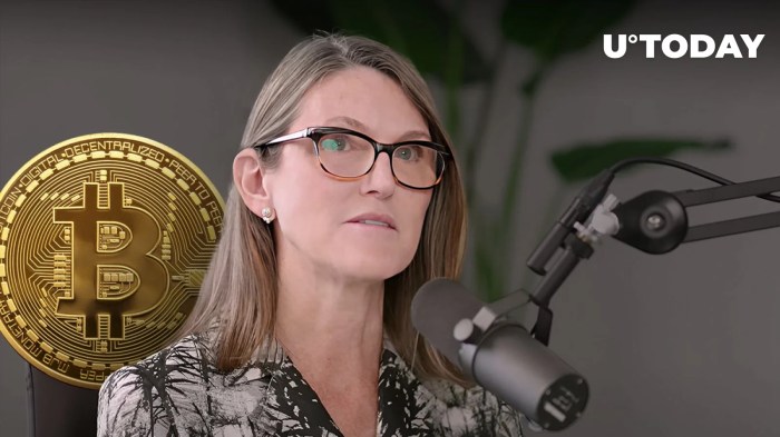 Cathie Wood Bitcoin Prediction