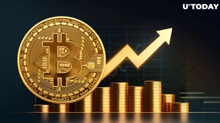 Precio Del Bitcoin Hoy En Dólares