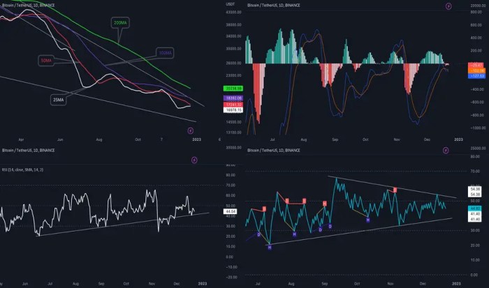 Gmi Bitcoin Top Indicator