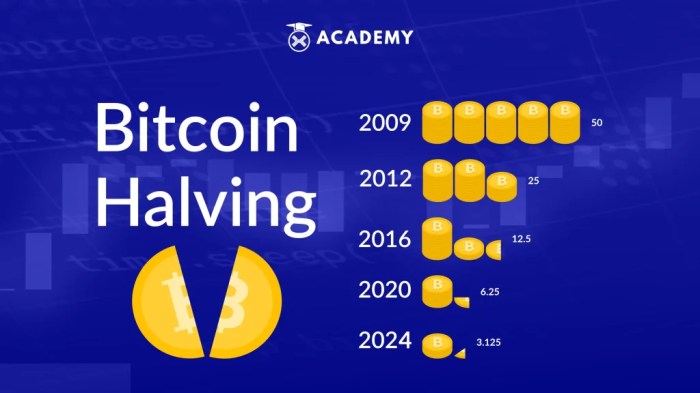 Does Bitcoin Halving Increase Price