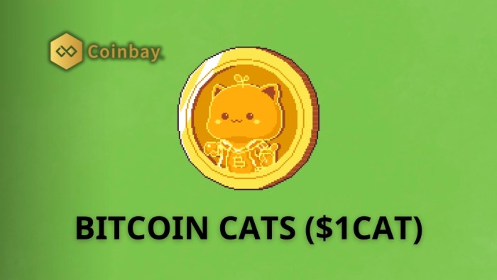 Cat Token Fractal Bitcoin