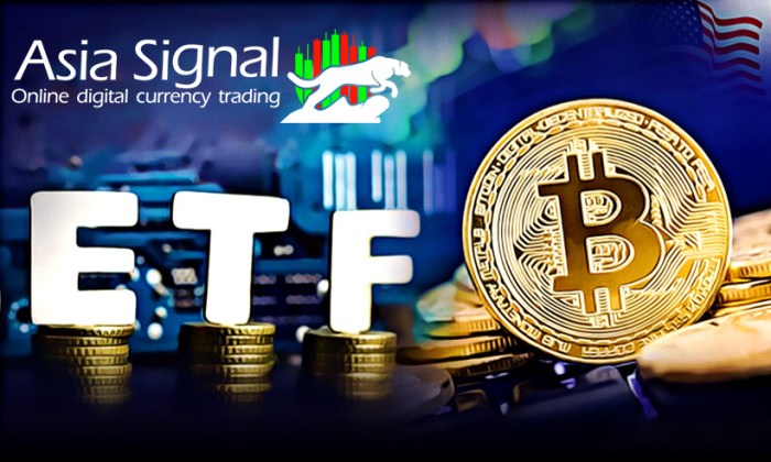 What Does Bitcoin Etf Mean