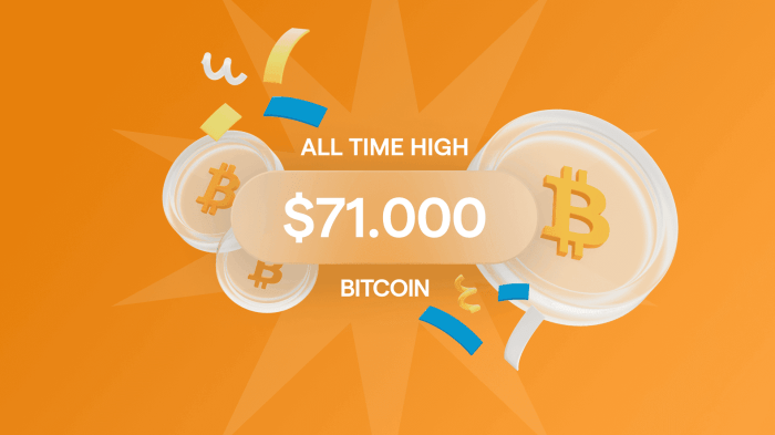 Bitcoins Highest Ever Price