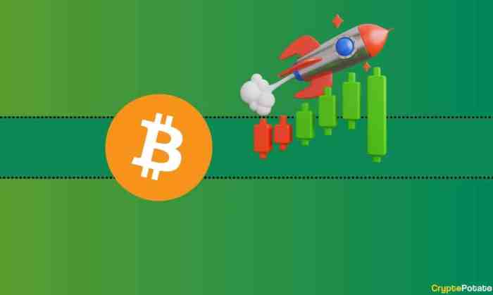 Why Is Bitcoin So Expensive