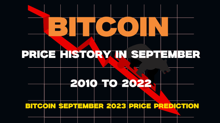 Bitcoin Value Over Time