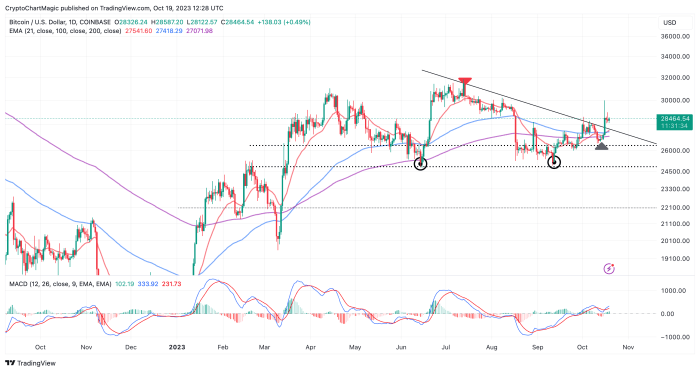 Bitcoin Bull Market Prediction