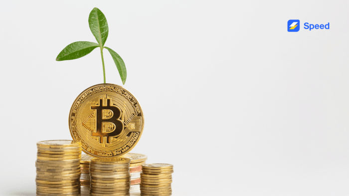 Investing In Bitcoins For Beginners