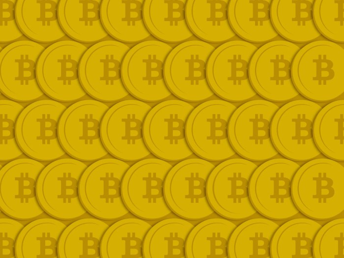 What Does A Bitcoin Look Like