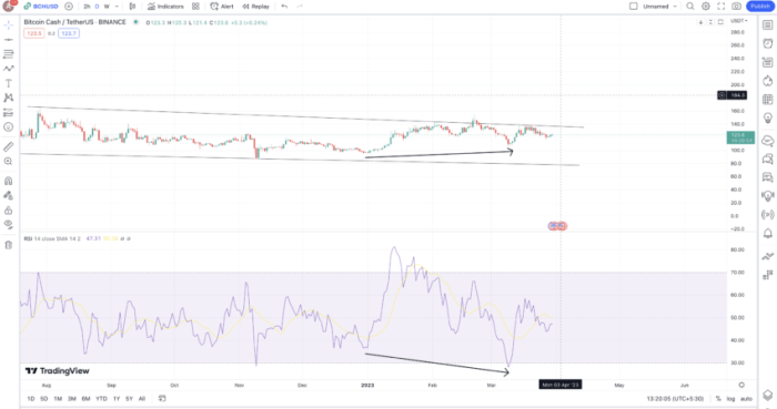 Bitcoin Cash Price Prediction