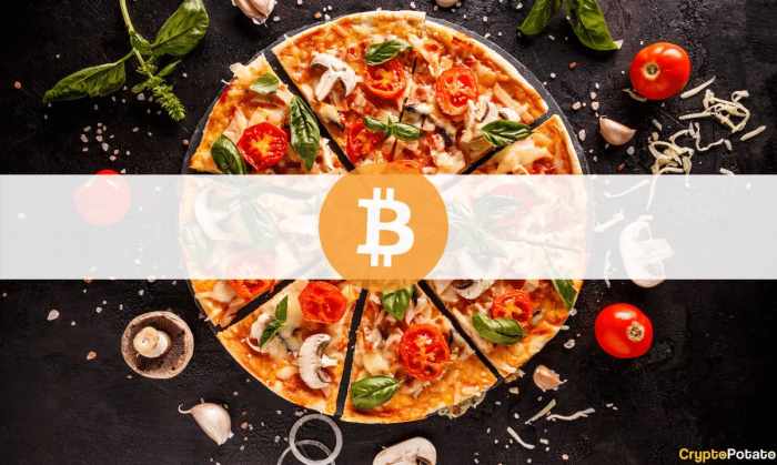 Most Expensive Pizza Bought With Bitcoin