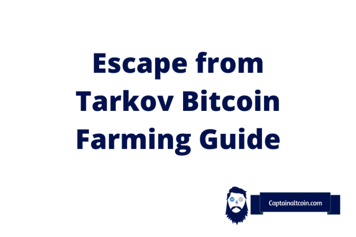 Tarkov Bitcoin Farm Chart