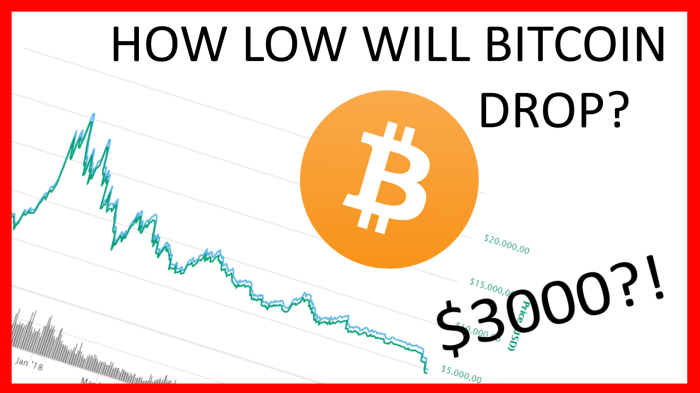 Will Bitcoin Go Up After Halving