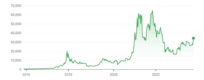 Bitcoin Value Over Time