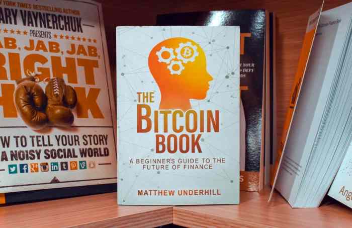 The Little Book Of Bitcoin