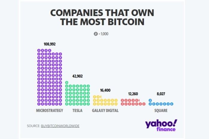 Who Has More Bitcoins