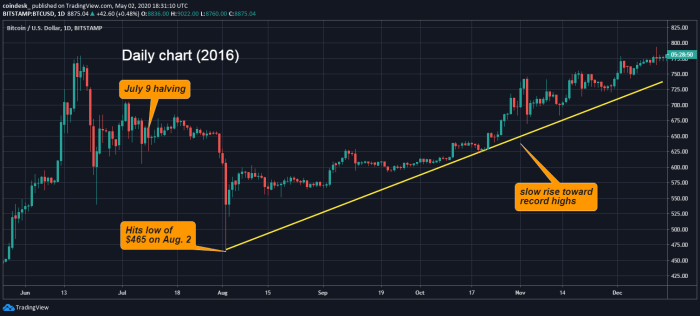 Bitcoin Halving Price Prediction