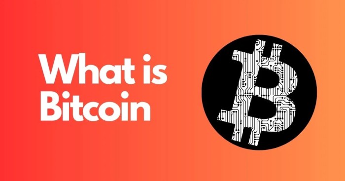 What Is The Bitcoins