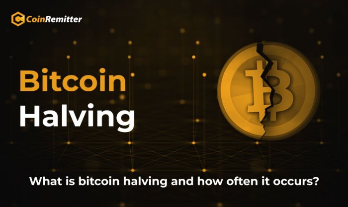 How Often Does Bitcoin Halve