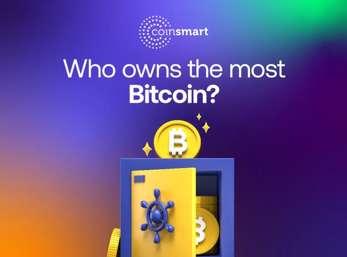 Who Is The Owner Of Bitcoin