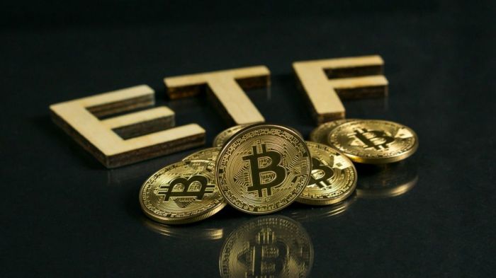 Ishares Bitcoin Trust Etf