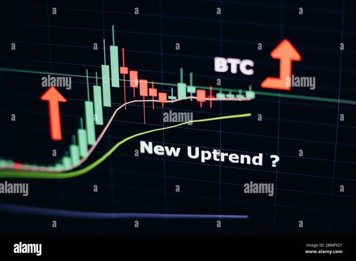 Gráfico Bitcoin Tiempo Real