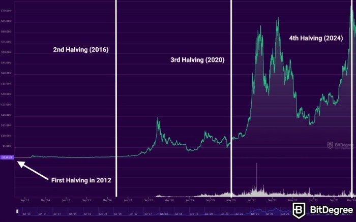 When Is Bitcoin's Next Halving