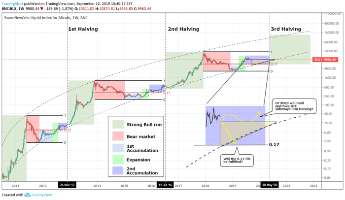 Bitcoin Price Prediction Analyst