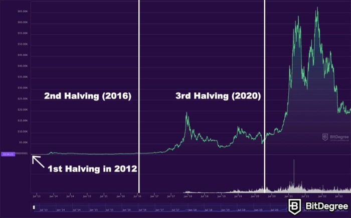 Next Bitcoin Halving Date