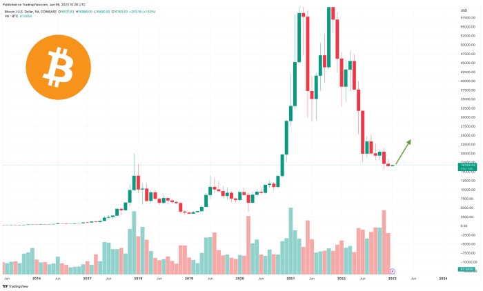 Price Of Bitcoin In 2010