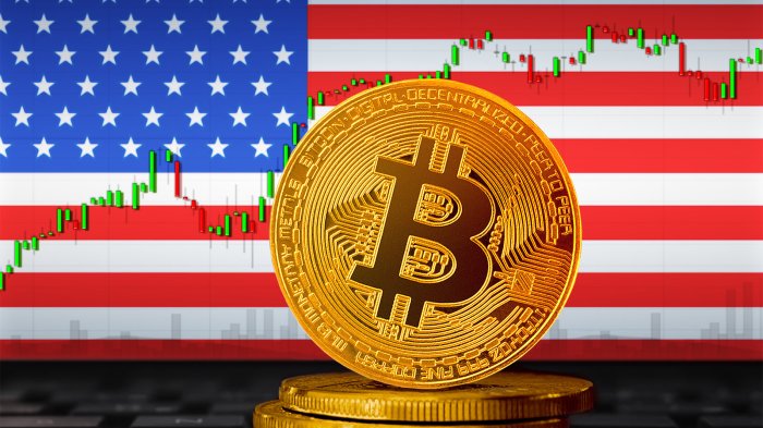 Does The Us Government Own Bitcoin