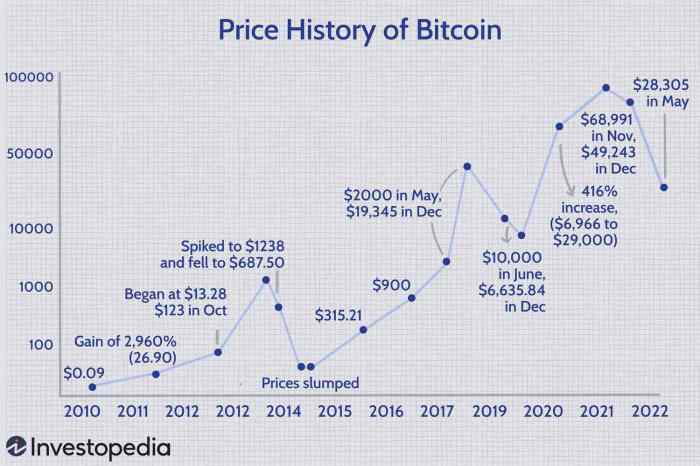 Bitcoin Price Chart All Time