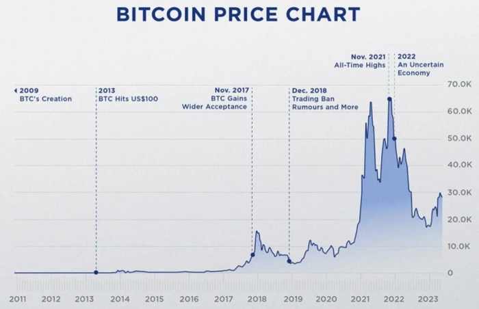 Bitcoin 10 Year Chart