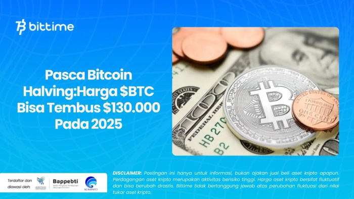 Bitcoin Halving 2025 Calculator