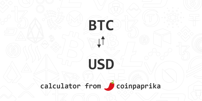 Usd To Bitcoin Converter