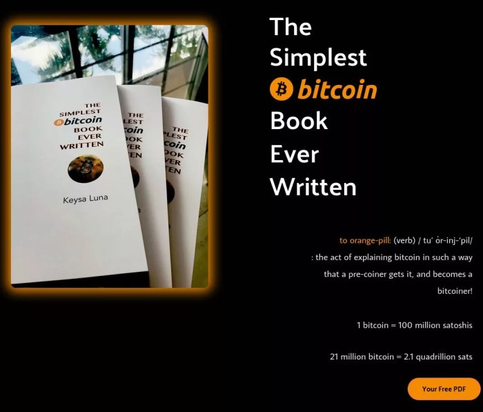 Little Book Of Bitcoin