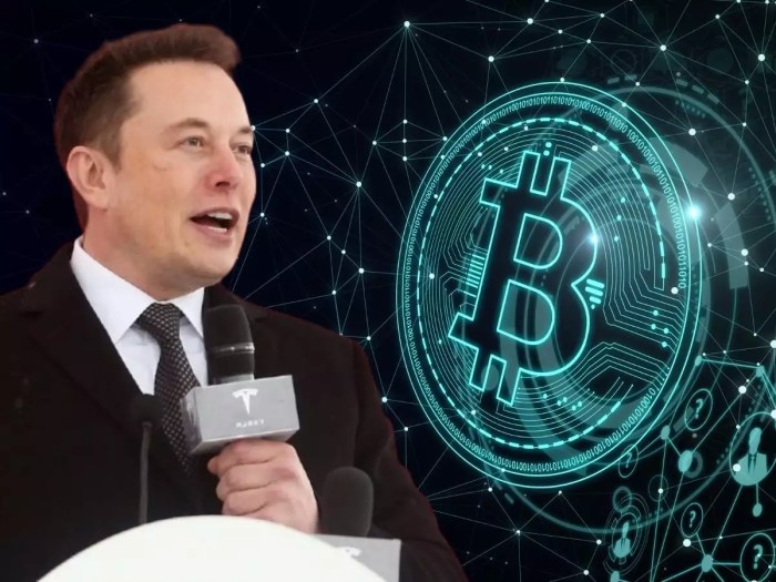 El Salvador Bitcoin Valuation Musk Response