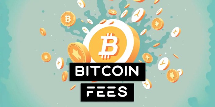 Why Are Bitcoin Fees So High