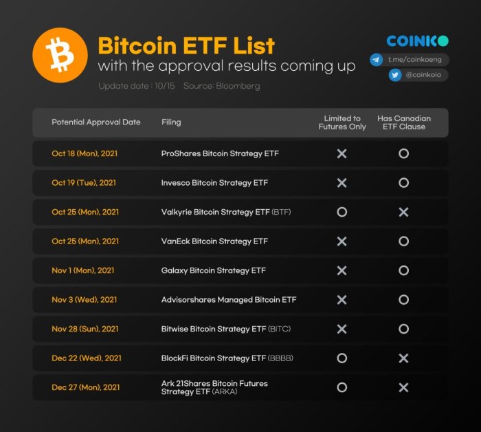 Bitcoin Etf Flow Table