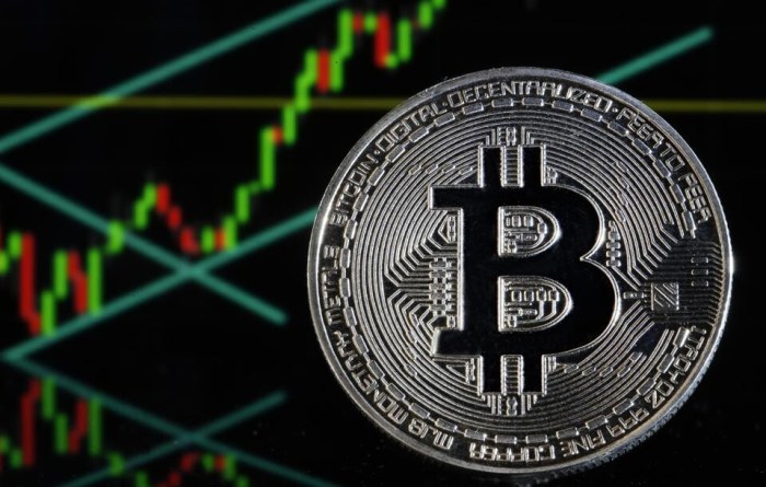 Bitcoins Highest Ever Price