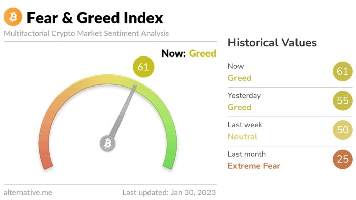 Fear Greed Index Bitcoin