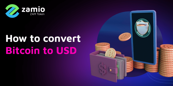 Bitcoin Converter To Usd