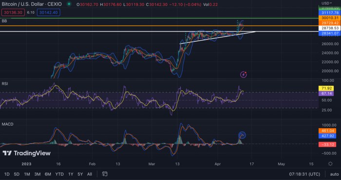 What Is The Next Bitcoin